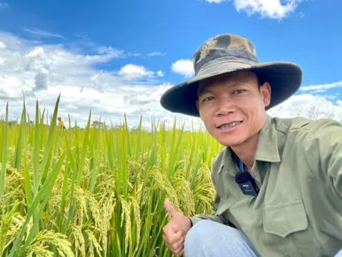 Giám đốc Sở Nông nghiệp Huambo - Angola đích thân đến khảo sát mô hình trồng lúa nước của team châu Phi