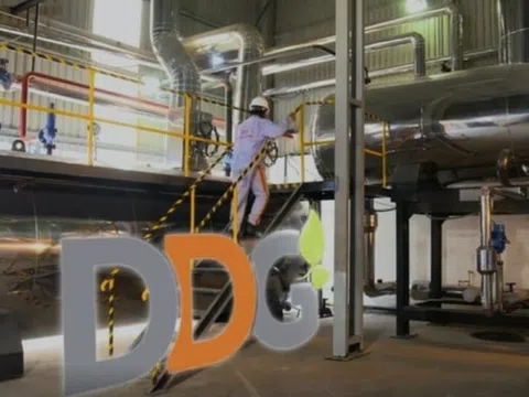 Xuất nhập khẩu Đông Dương (DDG) bị xử phạt nặng vì thông tin sai lệch, không đầy đủ, “ém” thông tin