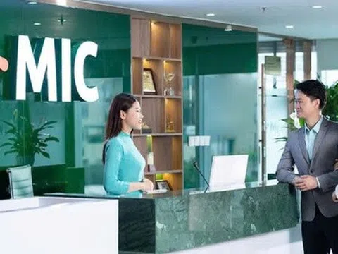 MIC sắp trả cổ tức năm 2024 với tỷ lệ 10%