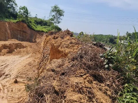 Đà Nẵng đề nghị chuyển hơn 9,5 ha đất rừng trồng sang khai thác đất