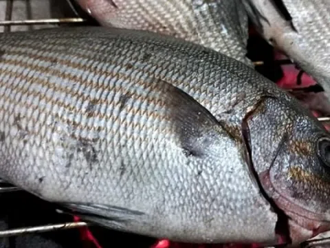 Từng ít người biết đến, loại cá tên nghe 'khiếp vía' nay thành đặc sản đắt đỏ: Giá tới 200.000 đồng/kg, nhiều người săn lùng