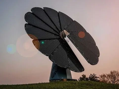 "Bông hoa hướng dương thông minh” tạo ra 6.500 kWh điện mỗi năm