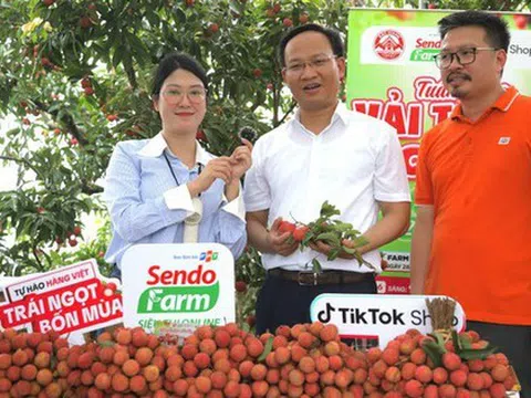 Lần đầu tiên Phó Chủ tịch Bắc Ninh livestream chốt đơn hàng chục tấn vải chỉ trong một buổi sáng