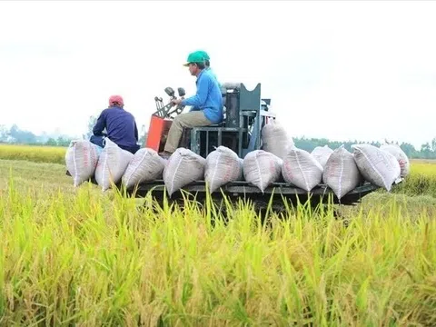 Việt Nam thu về 33,8 tỷ USD từ xuất khẩu nông sản, giao thương với Mỹ tăng mạnh