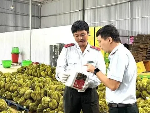 Mời chuyên gia Trung Quốc kiểm tra thực địa sầu riêng, gỡ vướng cho xuất khẩu