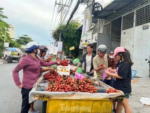 Vải thiều đại hạ giá tại TPHCM
