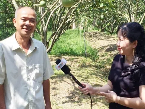 Nông dân Vĩnh Long nhổ lúa, trồng cây ra trái quanh năm, Trung Quốc rất chuộng: Thu nhập 1,2 tỷ đồng/năm