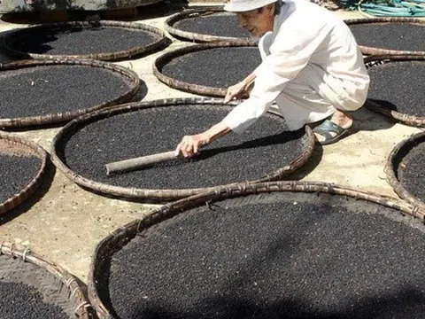 Hàng chục nghìn tấn "vàng đen" của Việt Nam ồ ạt tràn vào Mỹ, Đức, là mặt hàng VN xuất đi hơn 125 nước