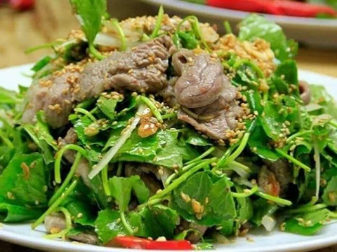 Rau dại 'bỏ làng ra phố', lên mâm nhà giàu: Giá tới 90.000 đồng/kg, tốt ngang 'nhâm sâm, thuốc bổ'