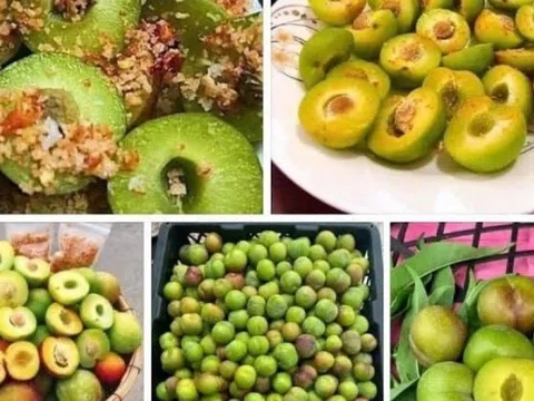 'Mận róc hạt Sa Pa' đang bán tràn lan khắp chợ với giá 25.000 đồng/kg có nguồn gốc từ đâu?'