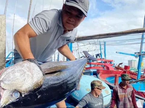 Những 'mỏ vàng' mới được khai phá để xuất khẩu