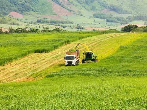 Quảng Ninh: Một nhà đầu tư đề xuất dự án 5 tỷ USD tại KCN Hải Hà