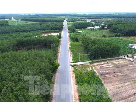 Ngắm tuyến đường như dải lụa xuyên rừng nối các tỉnh, thành miền Đông Nam bộ