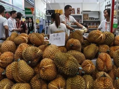 112 trang trại của láng giềng Việt Nam được xuất khẩu sầu riêng sang Trung Quốc
