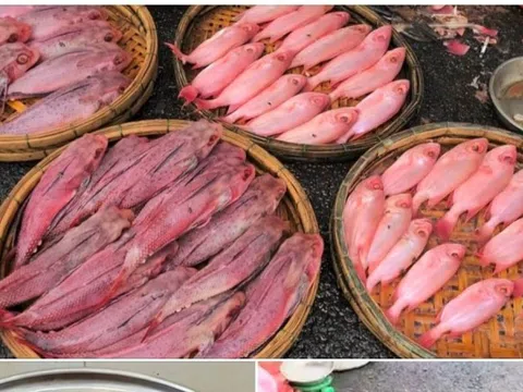 Cá 'nhuộm phẩm' ở Đà Nẵng, người bán giải thích là do được rửa bằng nước ngọt Sting