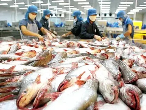Xuất khẩu thủy sản tăng chậm lại trong tháng 6