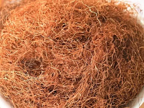 Từng bị vứt bỏ, một phần này của ngô được Trung Quốc ví như 'báu vật xanh': Giá cao ngỡ ngàng ở chợ Việt, lên cả kệ thương mại điện tử