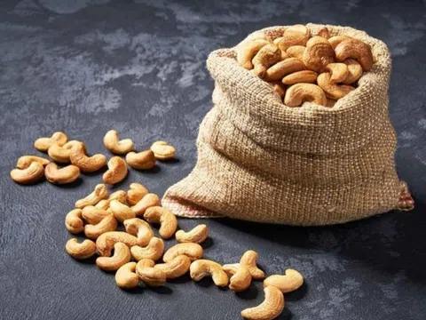 Ngành điều Việt Nam hướng tới mốc 4,5 tỷ USD năm 2025: Trung Quốc vượt Mỹ trở thành thị trường tiêu thụ lớn nhất
