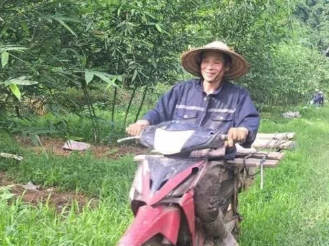 Nông dân Phú Thọ ‘phá vỡ lối mòn’ bỏ cam sang trồng cây được ví ‘lộc biếc’: Bán 45.000 đồng/kg, nuôi giấc mộng xuất khẩu sang Nhật