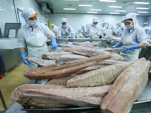 Cuộc chuyển mình của ngành cá ngừ trong năm 2025