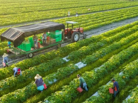 Ngành học điểm chuẩn chỉ từ 16 điểm, ra trường không lo thất nghiệp: Doanh nghiệp săn đón, lương lên tới 25 triệu/tháng