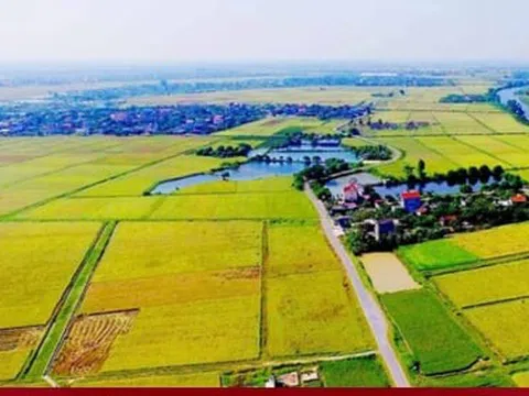 Chuyển đất nông nghiệp sang đất ở: Hoảng hốt tiền sử dụng đất cao đột biến