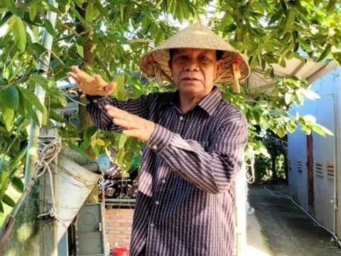 Tỷ phú cá hô miền Tây: Lão nông biến ao nhà thành trang trại bạc tỷ