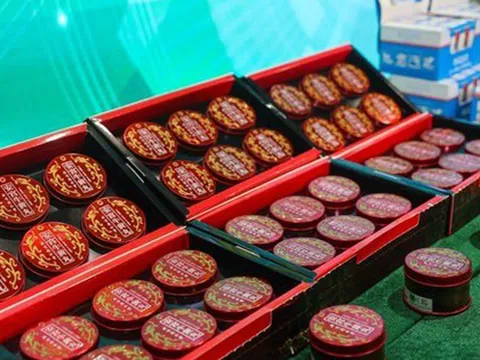 Đột kích 4 cửa hàng, bắt giữ giám đốc cầm đầu đường dây bán dược phẩm và mỹ phẩm giả, tịch thu 40.000 sản phẩm trị giá hơn 3 tỷ đồng