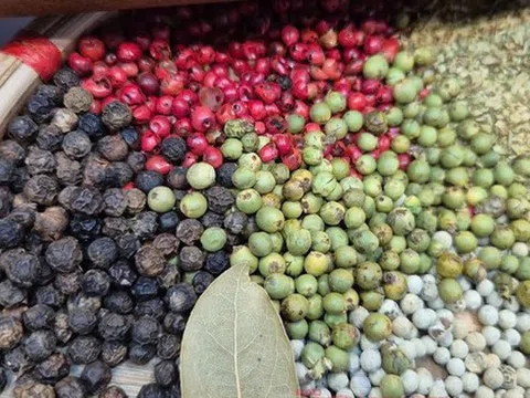 Giá tiêu Đắk Lắk bất ngờ nóng trở lại