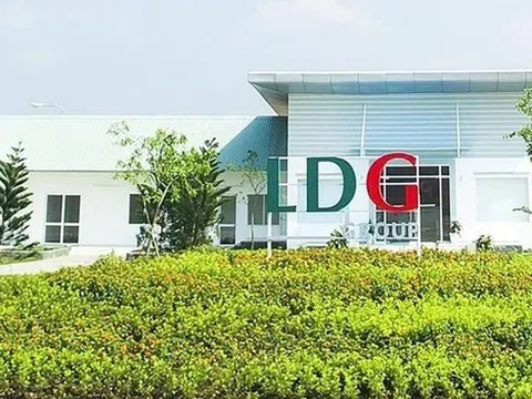 LDG nói gì về cổ phiếu tăng trần 10 phiên liên tục?