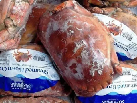 Cua 'siêu gạch' Na Uy hàng khủng giá rẻ bất ngờ trên chợ online, dân tranh nhau đặt mua