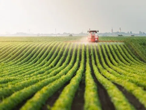 Quốc gia có diện tích đất nông nghiệp lớn thứ 2 thế giới đang 'săn lùng' mặt hàng này, toàn thế giới lên cơn sốt