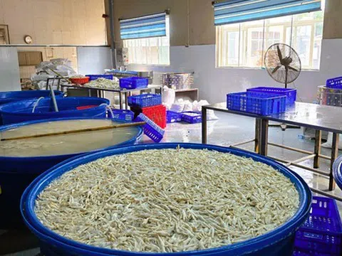 Phát hiện gần 7 tấn chân gà ngâm chất tẩy trắng