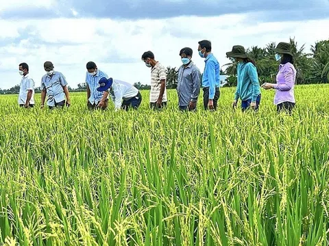 Hơn 5.200 tỷ đồng vốn tín dụng ngân hàng đã đến tay nông dân
