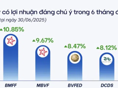 "Soi" lợi nhuận của quỹ mở 6 tháng đầu năm: Bỏ 100 triệu đồng đầu tư vào quỹ nào lãi nhất?