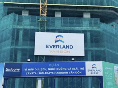 Everland bổ nhiệm một Phó Tổng Giám đốc