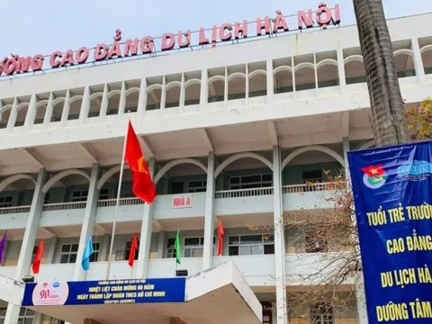 Ngành học mang tính ứng dụng cao, chỉ 1,5 năm là xong, không lo AI ‘tranh việc’: Lương lên tới 50 triệu/tháng, doanh nghiệp ‘trải thảm đỏ’ mời làm
