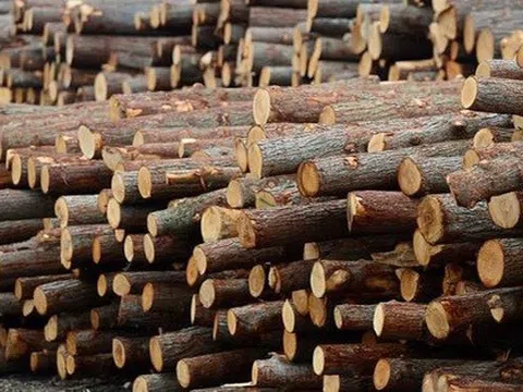 Mỹ giảm thuế xuống 20%, đã chi hơn 4 tỷ USD nhập khẩu cho ngành hàng 'hái ra tiền' này của Việt Nam