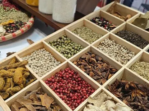 Doanh nghiệp hồ tiêu, gia vị cầu cứu Bộ Nông nghiệp và Môi trường