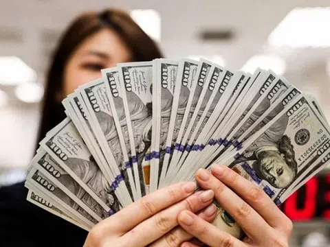 Tỷ giá hôm nay 18/7: USD và NDT điều chỉnh nhẹ tại các ngân hàng