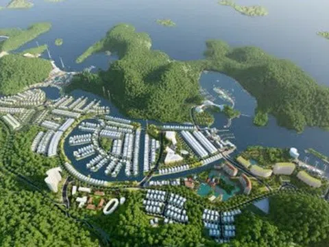 Vinaconex không còn là công ty mẹ của chủ đầu tư dự án Cát Bà Amatina