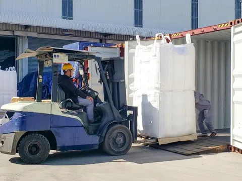 Ngành hàng Việt Nam xuất khẩu đứng thứ 3 thế giới: Tăng vọt 68%, giữ chắc ngôi đầu tại thị trường Trung Quốc