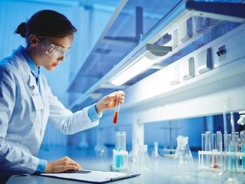 Một thị trường đầy tiềm năng của Việt Nam được dự báo đạt 12,12 tỷ USD vào năm 2029