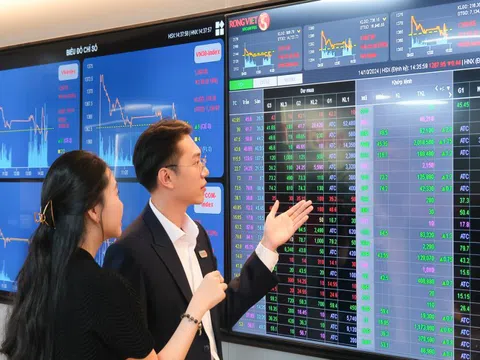 Rồng Việt công bố KQKD Quý 2/2025: Ổn định nền tảng, vững vàng tương lai