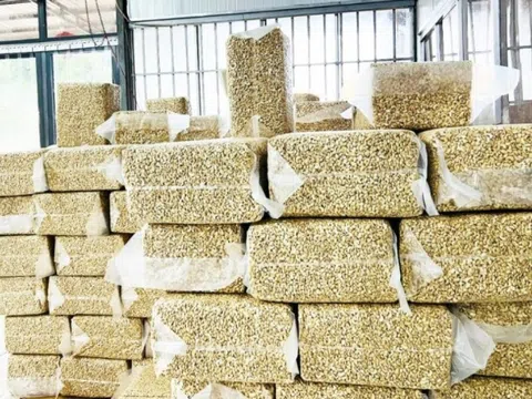 Xuất khẩu hạt vàng bật tăng mang về cho Việt Nam gần 2,4 tỷ USD nửa đầu năm, Trung Quốc tích cực thu mua
