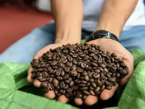 Giá cà phê tăng vọt!