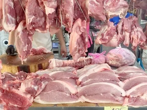 Tiểu thương bán thịt heo tại TP.HCM bị vạ lây vì tả heo châu Phi