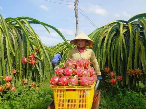 Nông sản 'tắc đường' vào EU, Bộ Nông nghiệp và Môi trường có động thái gì?