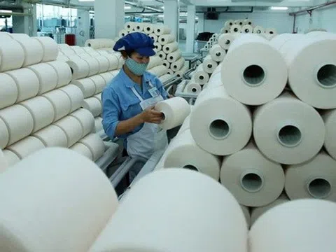 Sợi Thế Kỷ ‘ế’ 13,5 triệu cổ phiếu trong đợt chào bán riêng lẻ