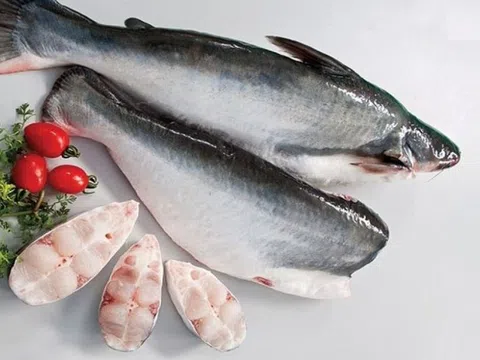 Loại cá dễ nuôi vừa mang về cho Việt Nam 1 tỷ USD
